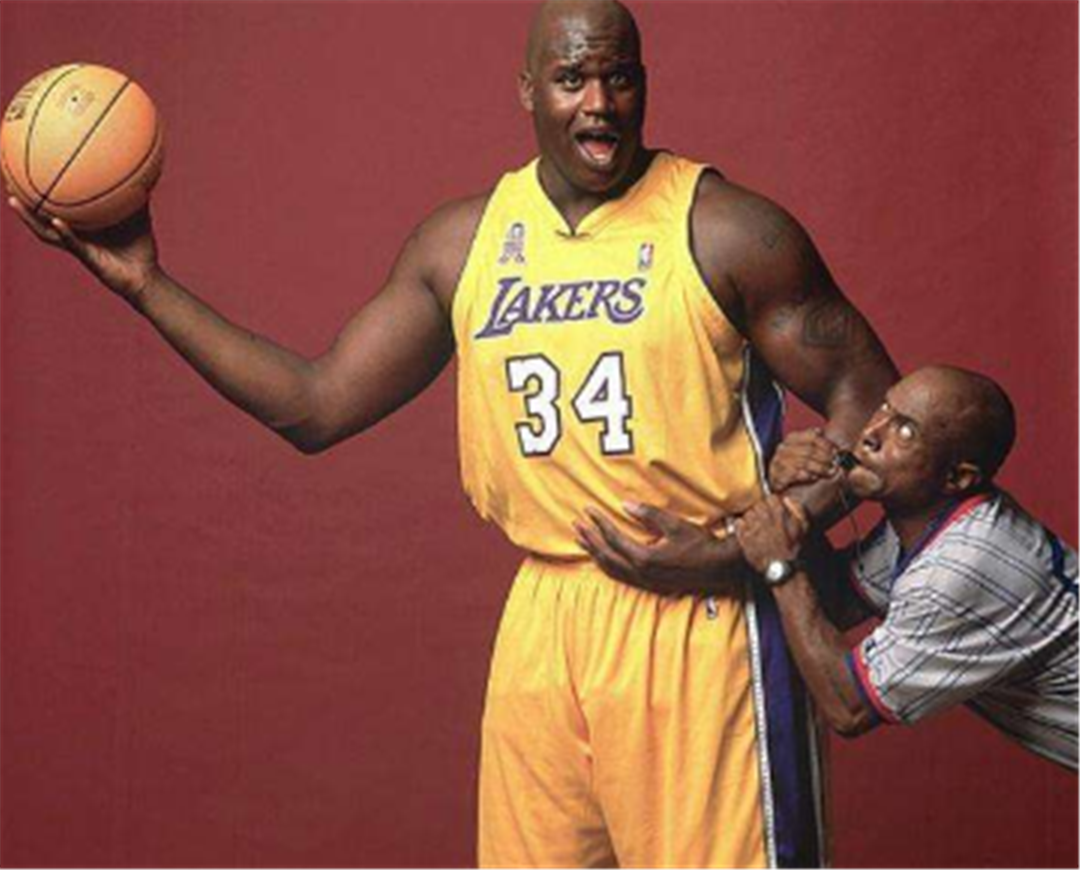 训练营的结 训练营的结